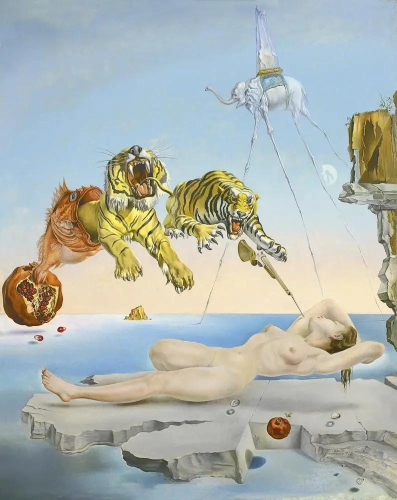 Salvador Dali 'Dream Caused' Oil Painting Reproduction, Framed Surrealist Wall Art | BoselliArt hand-painted oil painting