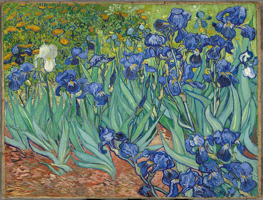 Van Gogh Irises Oil Painting Reproduction, Framed Wall Art | BoselliArt hand-painted oil painting