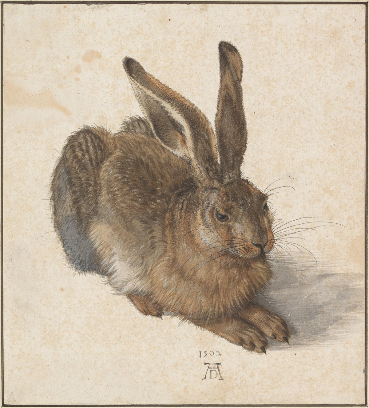 Albrecht Durer Young Hare Oil Painting Reproduction, Farmhouse Wall Art | BoselliArt hand-painted oil painting
