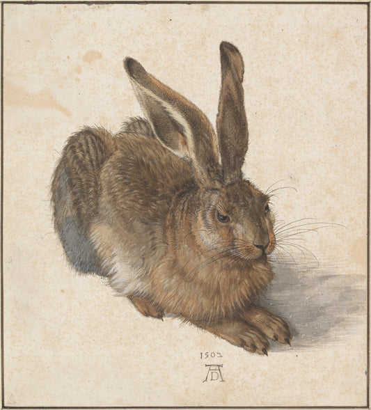 Albrecht Durer Young Hare Oil Painting Reproduction, Farmhouse Wall Art | BoselliArt hand-painted oil painting