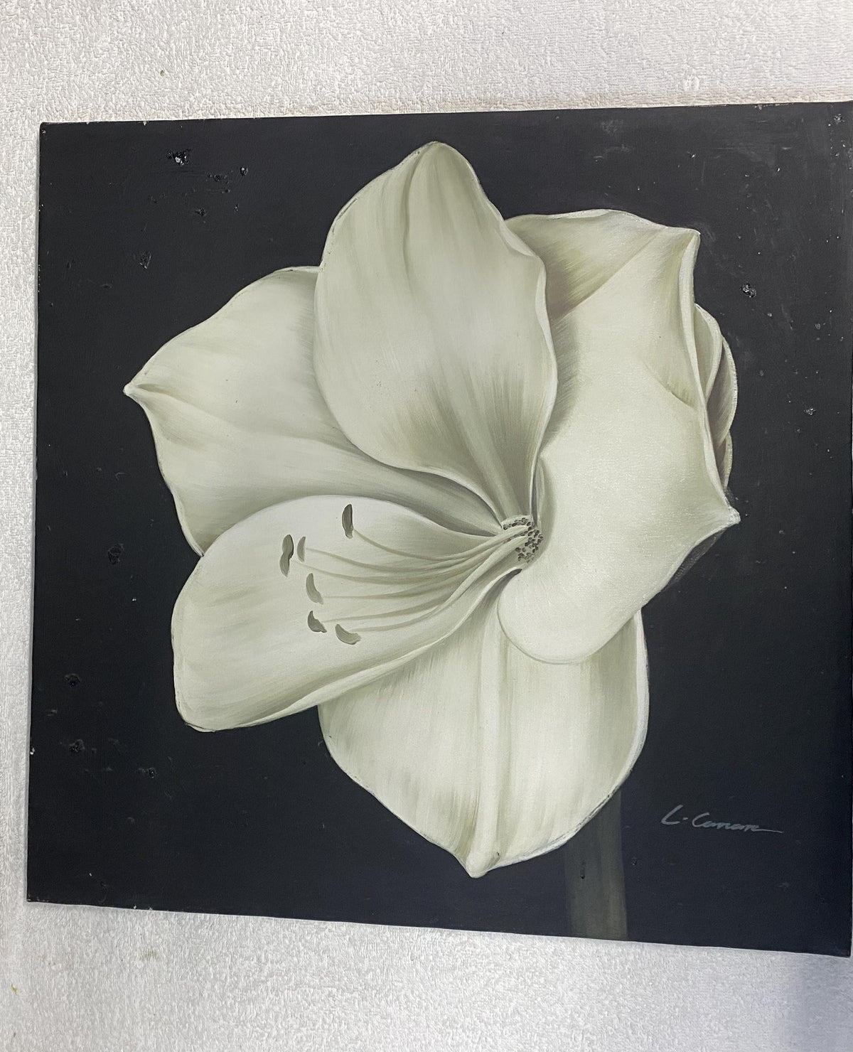 Hand-Painted White Flower Oil Painting on Canvas, Botanical Wall Art (23x23" 60x60 cm) | BoselliArt hand-painted oil painting