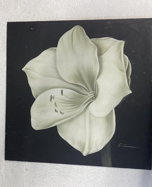 Hand-Painted White Flower Oil Painting on Canvas, Botanical Wall Art (23x23" 60x60 cm) | BoselliArt hand-painted oil painting